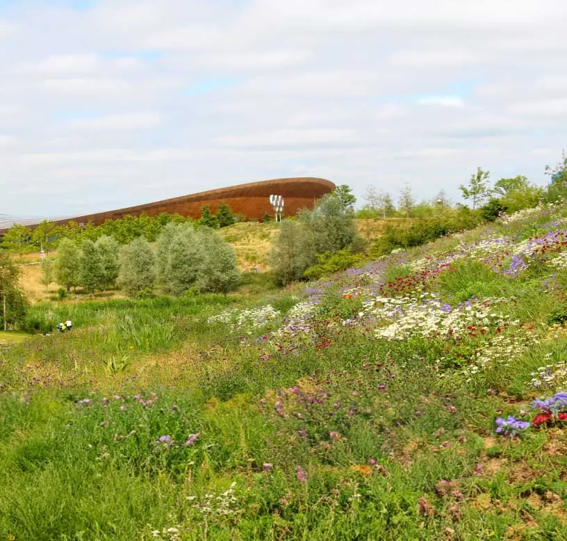 Image accompanying a link to Supported by